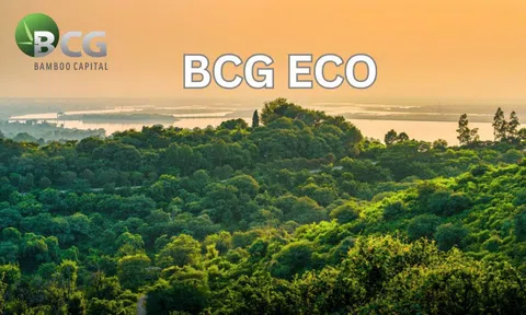 Bamboo Capital thành lập công ty trồng và chăm sóc rừng BCG Eco