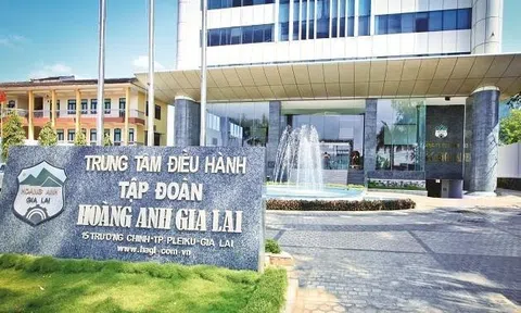 Anh trai Thành viên Hội đồng quản trị HAGL muốn thoái toàn bộ vốn