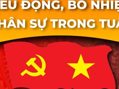 Điều động, bổ nhiệm cán bộ tại nhiều địa phương, đơn vị