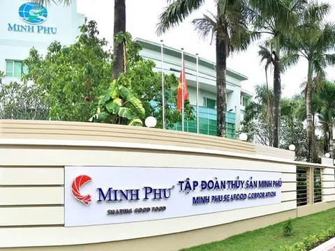 Kinh doanh thua lỗ, “vua tôm” Minh Phú vẫn chi hàng trăm tỷ đồng trả cổ tức