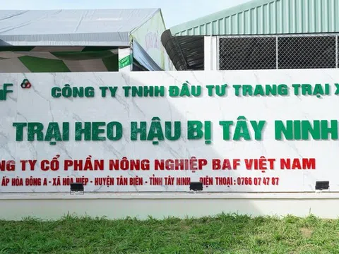 Sau khi thâu tóm loạt doanh nghiệp, BAF bổ nhiệm 2 Phó Tổng Giám đốc mới