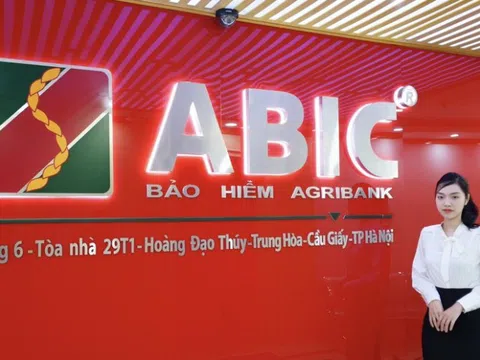 Cổ đông ABIC sắp nhận "quà" Giáng sinh